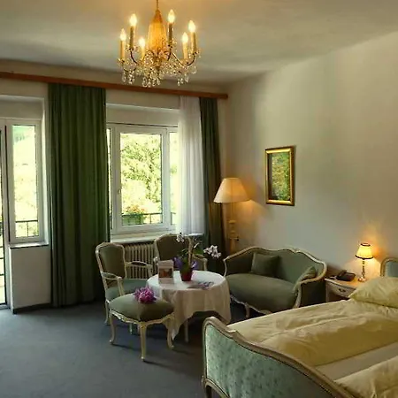 Hotel & Mozart 3*